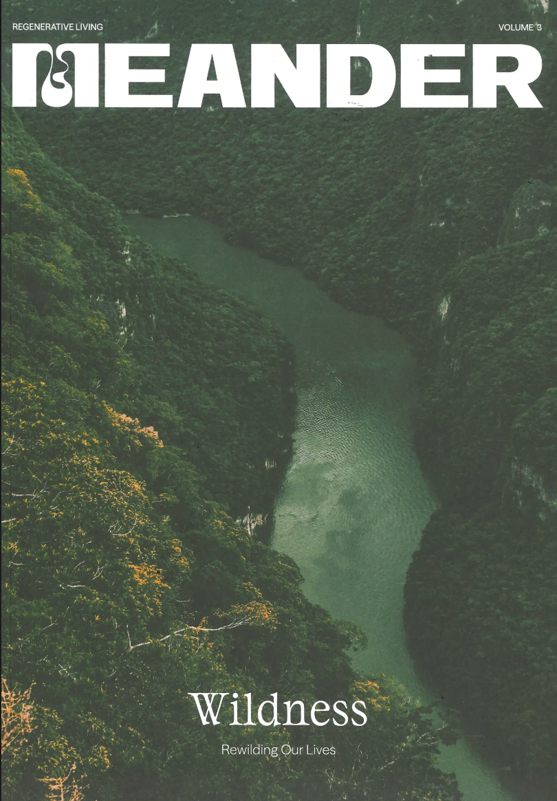 Meander #3