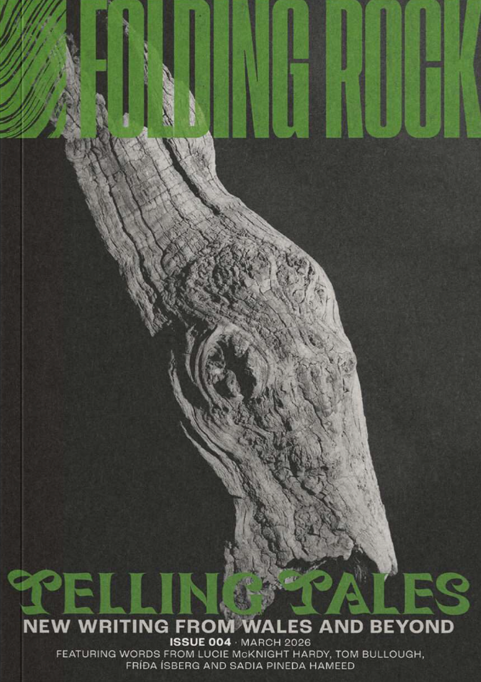 Folding Rock #4