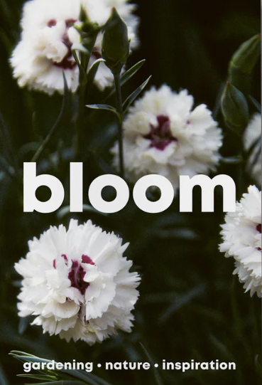 Bloom #14