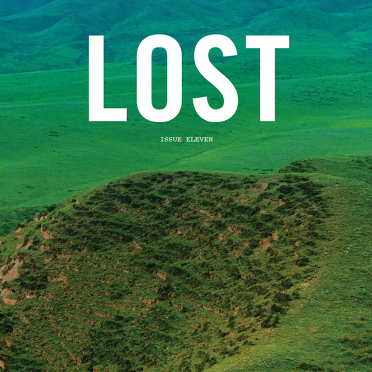 Lost #11