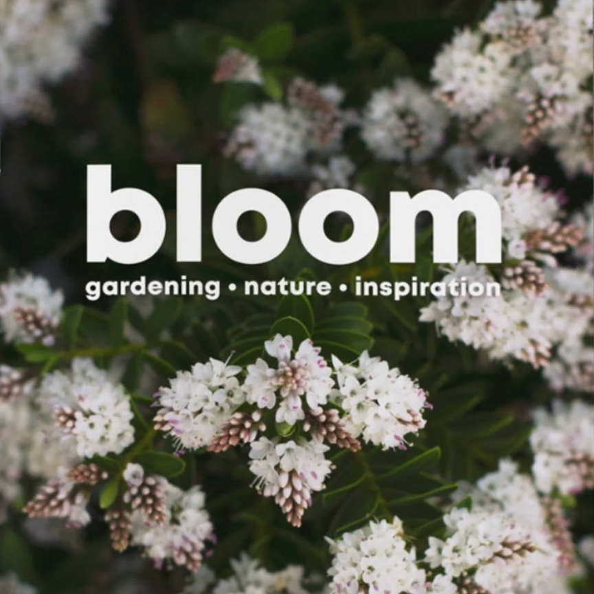Bloom #9