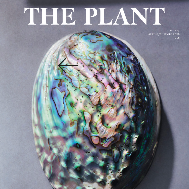 The Plant #25