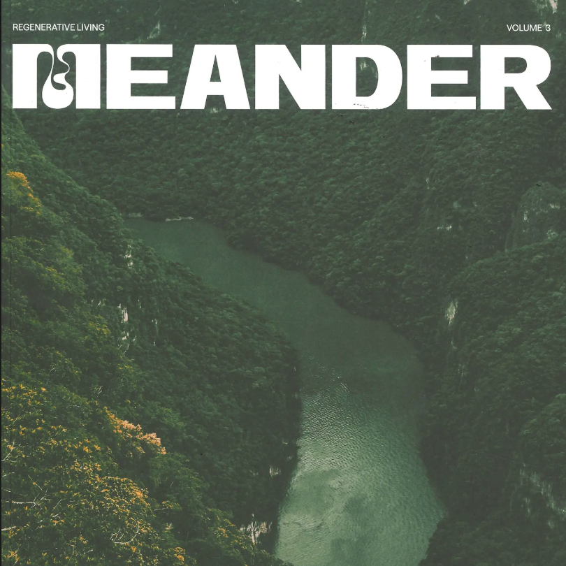 Meander #3