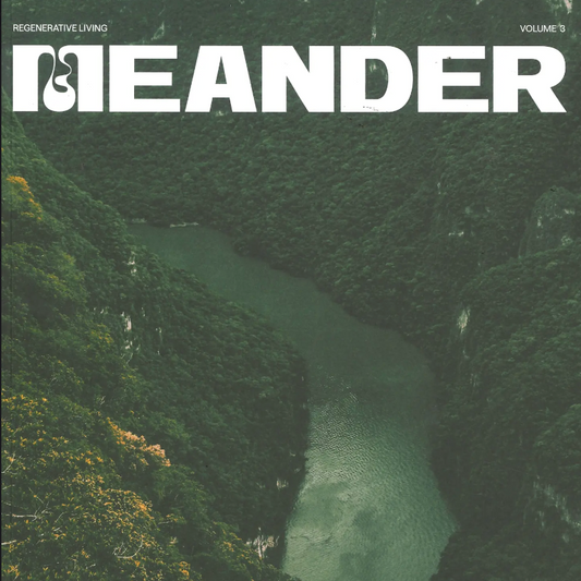 Meander #3