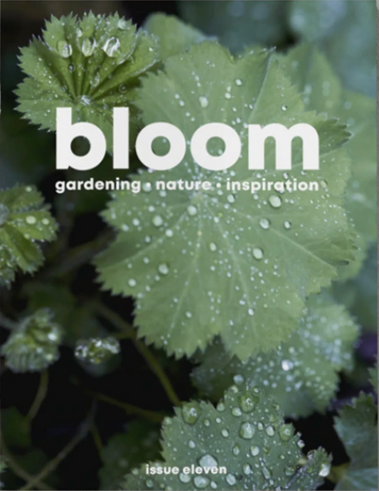 Bloom #11